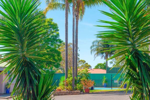 Balan Village Motel (Nowra)